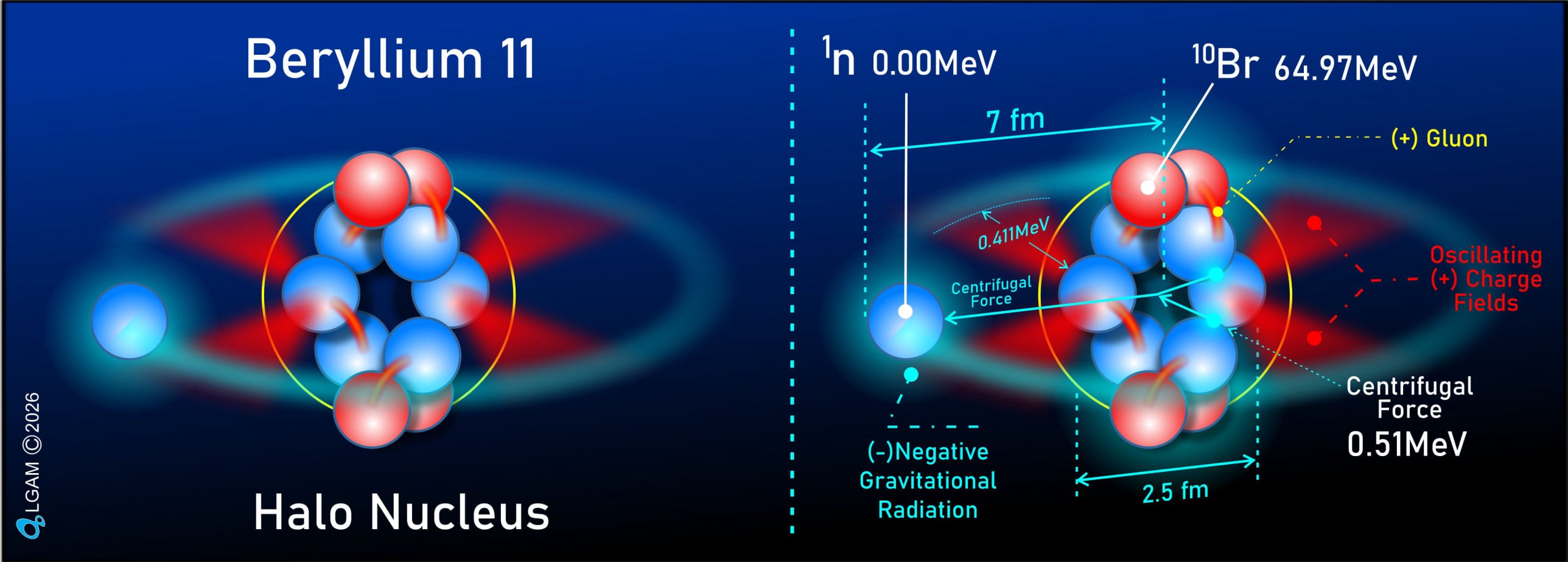 Beryllium 11 Halo Nucleus